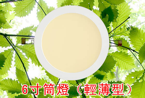 LED省電燈具