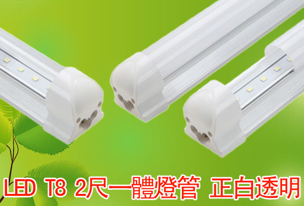 LED T8 2尺一體燈管 正白透明