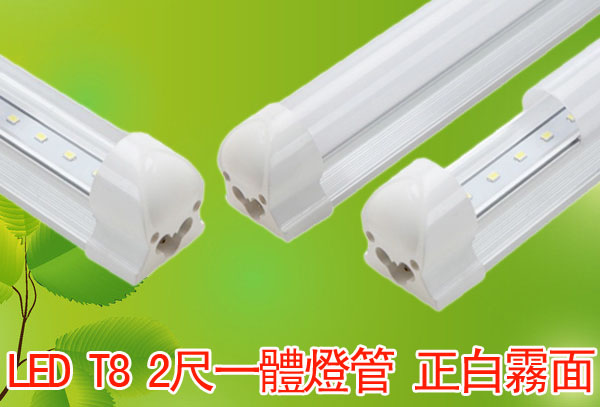 LED T8 2尺一體燈管 正白霧面