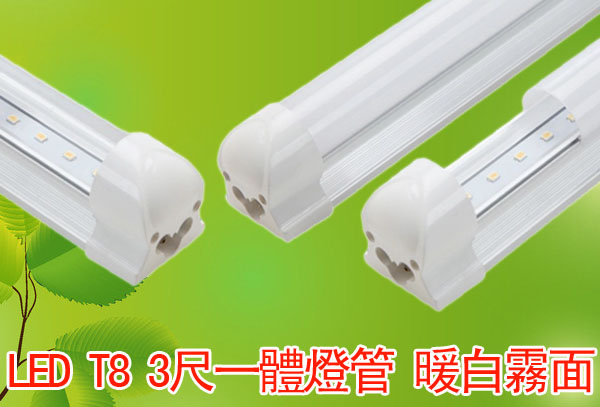 LED T8 3尺一體燈管 暖白霧面