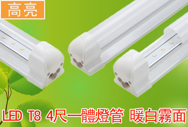 LED T8 4尺一體燈管 暖白霧面 高亮