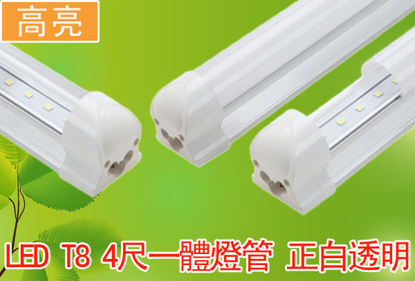 LED T8 4尺一體燈管 正白透明 高亮