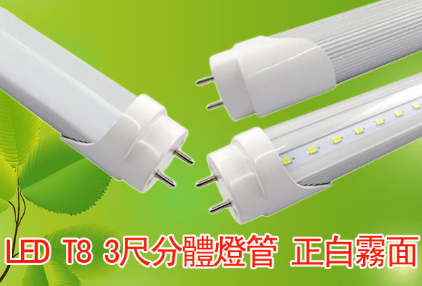 LED T8 3尺分體燈管 正白霧面