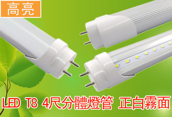 LED T8 4尺分體燈管 正白霧面 高亮