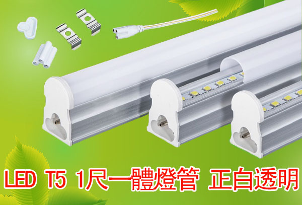 LED T5 1尺一體燈管 正白透明