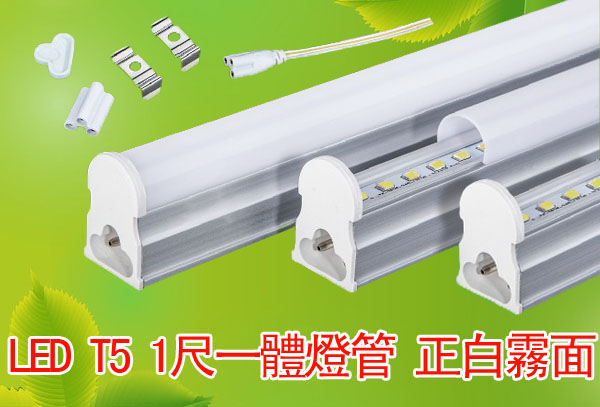 LED T5 1尺一體燈管 正白霧面