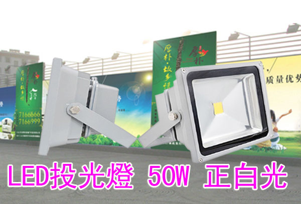 LED投光燈 50W 正白光